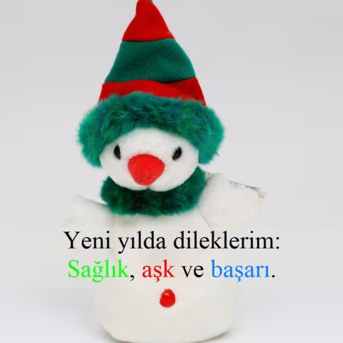 Yeni yılda dileklerim: Sağlık, aşk ve başarı