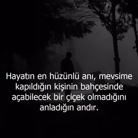 Güzel Sözler: Hayata, Aşka ve Dostluğa Dair Anlamlı ve İlham Veren Sözler Güzel sözler