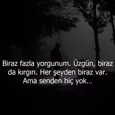 Güzel Sözler: Hayata, Aşka ve Dostluğa Dair Anlamlı ve İlham Veren Sözler Güzel sözler