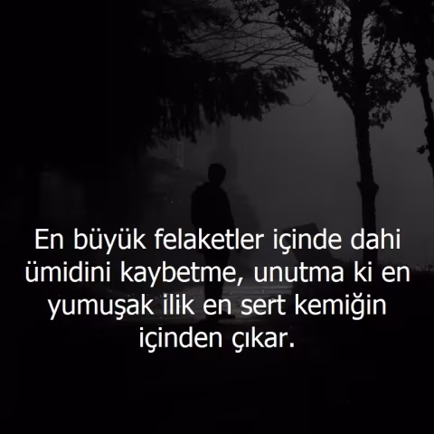 Güzel Sözler: Hayata, Aşka ve Dostluğa Dair Anlamlı ve İlham Veren Sözler Güzel sözler