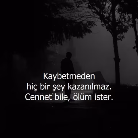 Güzel Sözler: Hayata, Aşka ve Dostluğa Dair Anlamlı ve İlham Veren Sözler Güzel sözler