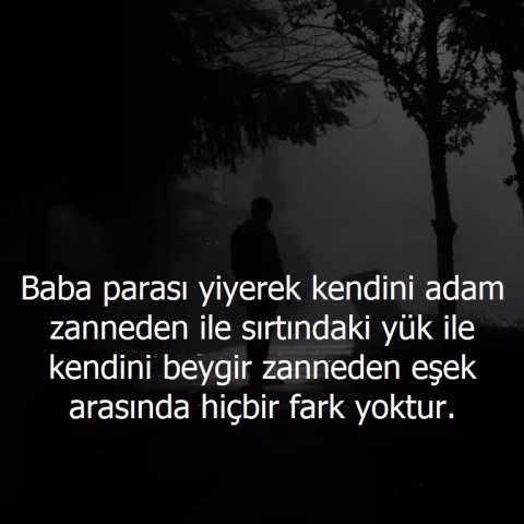 Güzel Sözler: Hayata, Aşka ve Dostluğa Dair Anlamlı ve İlham Veren Sözler Güzel sözler