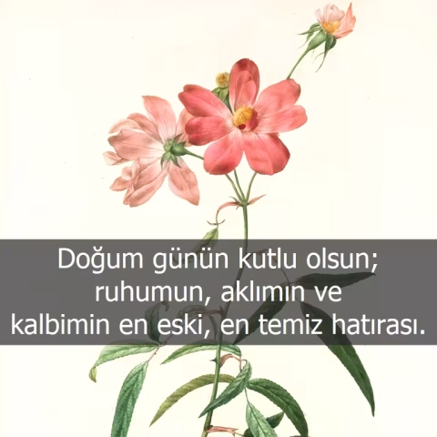 Anneye doğum günü mesajı