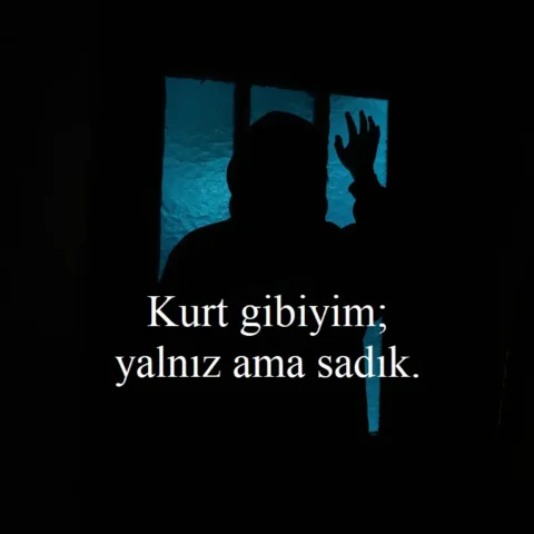 Instagram Biyografi İçin Şekilli Sokak Sözleri